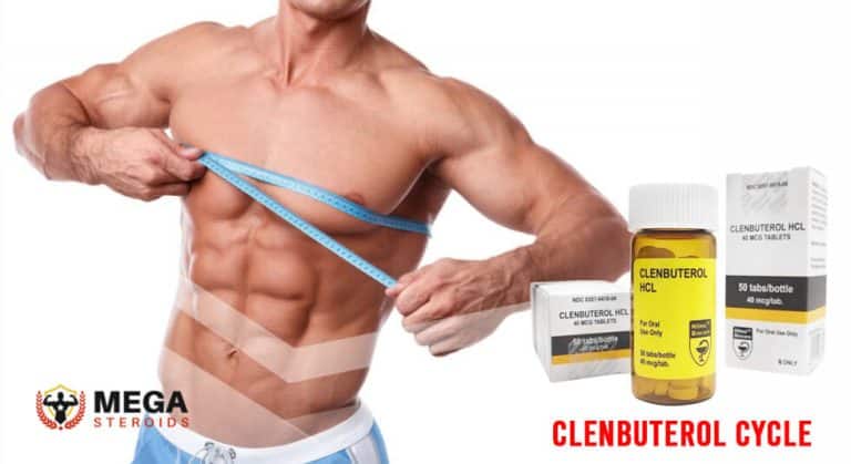 ciclo de clenbuterol (1)