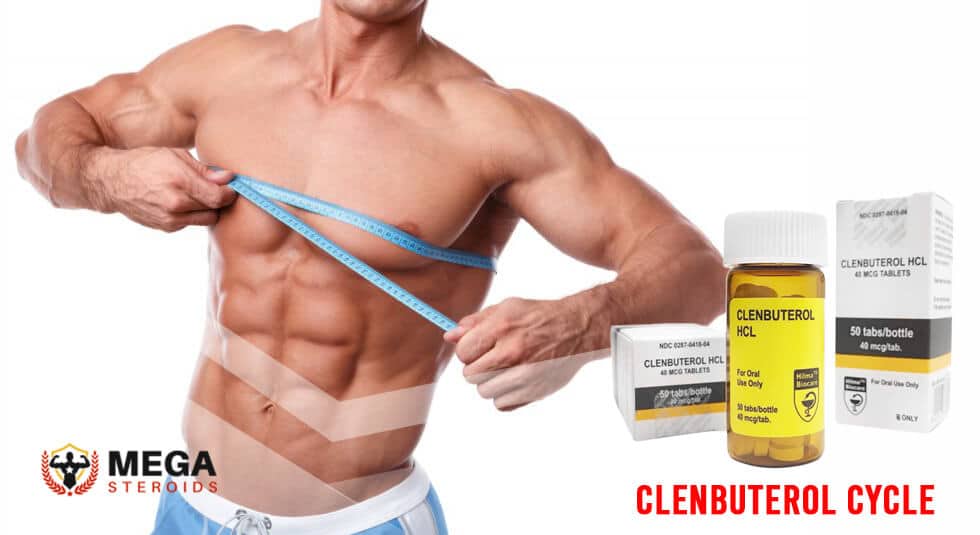 ciclo de clenbuterol (1)