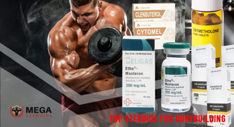 MEGA-Blog Steroid-Bodybuilding