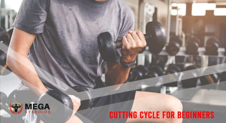 Ciclo di taglio del blog MEGA per principianti